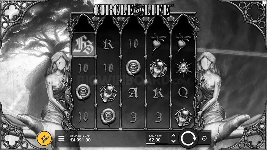 Live Dealer Casino Game in Action at Peryagame