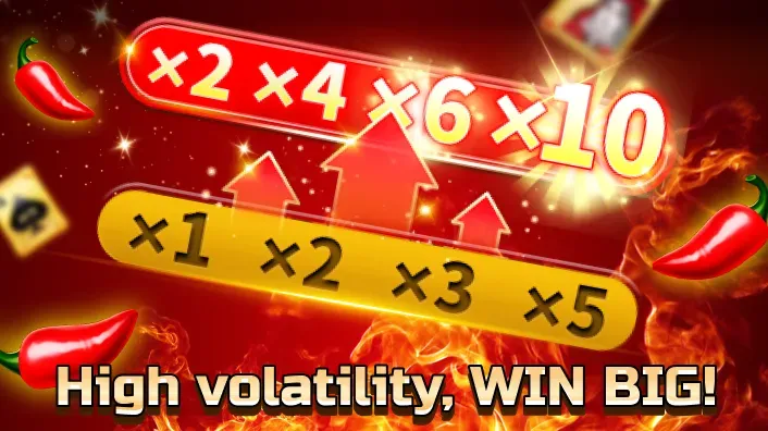 VIP Casino Program